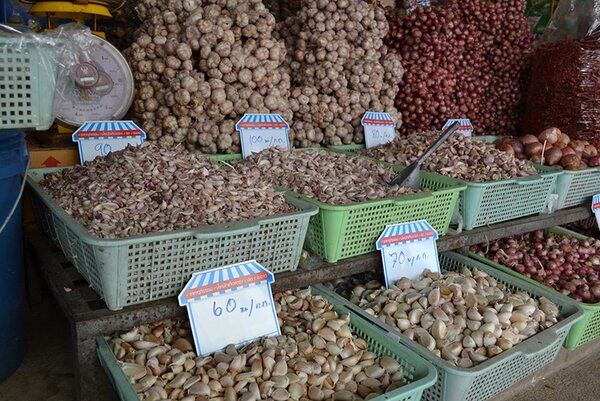 ตลาดศูนย์การค้าเมืองกำแพงเพชร ตลาดเช้า กำแพงเพชร ร้านผักสมุนไพร