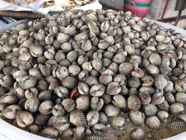 ตลาดสดยโสธร ตลาดสดกุดชุมพัฒนา ร้านหอยแครง