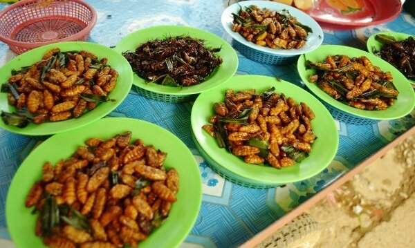 ตลาดปากชม ตลาดสดเทศบาลตำบลปากชม ตลาดจังหวัดเลย ร้านแมลงทอด