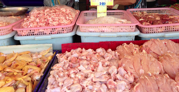 ตลาดเกษตรสุวพันธุ์ ตลาดสด อ่างทอง ร้านไก่สด