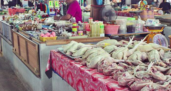 ตลาดสดสงขลา ตลาดบ้านคลองเตย ร้านไก่สด