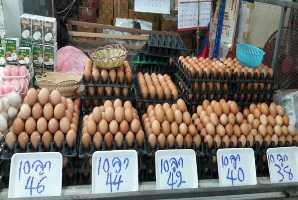 ตลาดสดเทศบาล 2 ร้านไข่