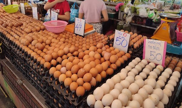 ตลาดดวงแก้วพลาซ่า ตลาดสดนนทบุรี ร้านไข่สด