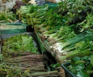 ตลาดสด ศาลายา ตลาดศาลายา ตลาดใกล้มหาวิทยาลัยมหิดล