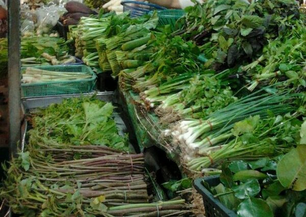 ตลาดสด ศาลายา ร้านผัก
