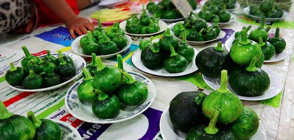 ร้านขายผักตลาดสดเทศบาลตำบลโพนสา ร้านผัก