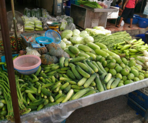 ตลาดสดสุขาภิบาลสีคิ้ว 1 ตลาดสดสีคิ้ว จ.นครราชสีมา เปิดทุกวัน เวลา 8.00-17.00 น.