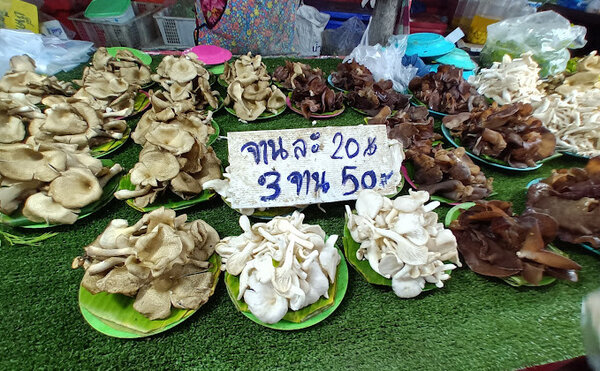 ตลาดบ้านทา ร้านเห็ด