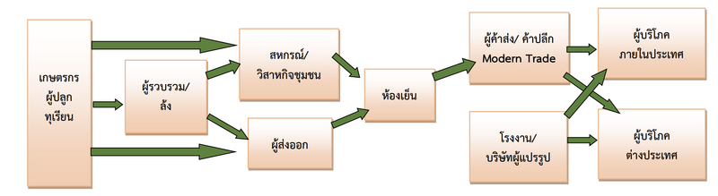 ห่วงโซ่อุปทาน