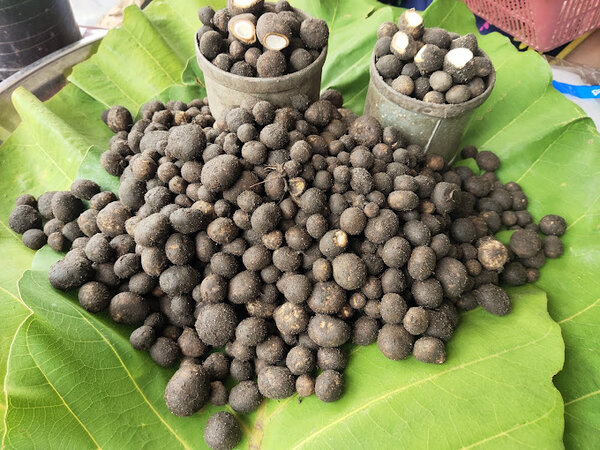 ตลาดบ้านทา เห็ดเผาะ