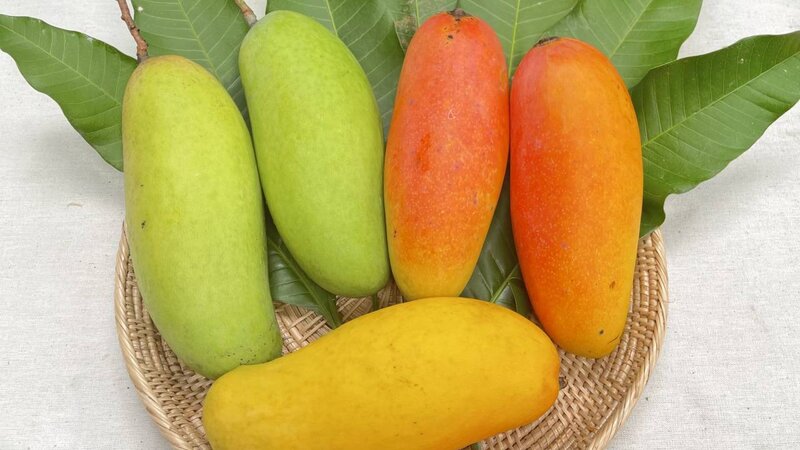 มหาชนก