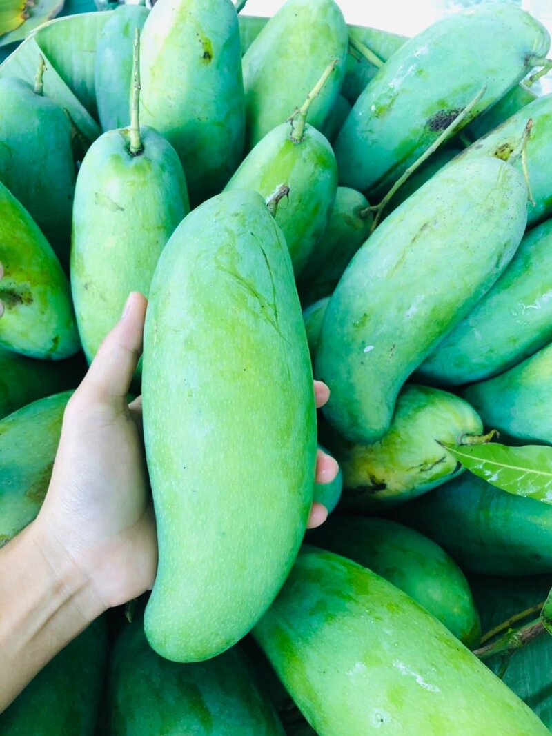 มันขุนศรี