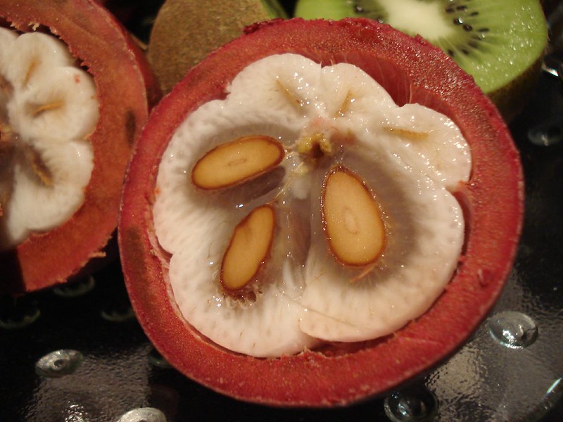 เมล็ดมังคุด