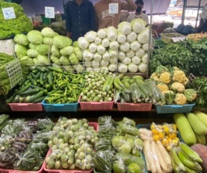 ตลาดทิพย์เกสร ตลาดสดบางพลี เปิดขายทุกวัน เวลา 9.00–22.00 น.