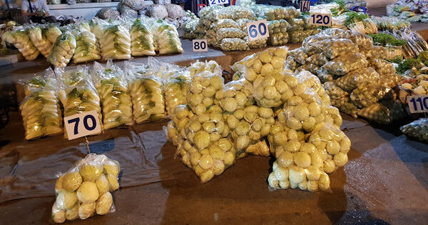ตลาดขายส่งผักเชียงใหม่ ร้านผักค้าส่ง