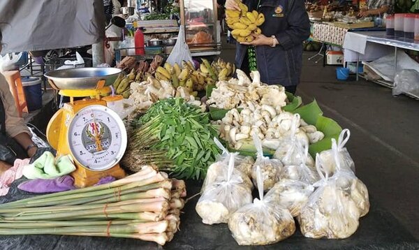 ตลาดกลางสินค้าเกษตร ร้านผักปลอดสาร