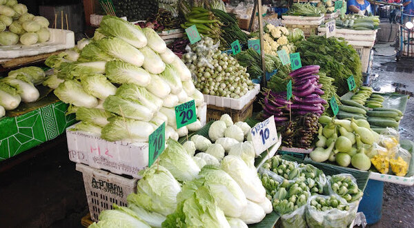 ตลาดรับซื้อผักสด เชียงใหม่ ร้านผักสด