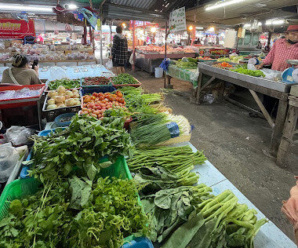 องค์การตลาด กระทรวงมหาดไทย สาขาหนองม่วง ตลาดกลาง สินค้าเกษตร