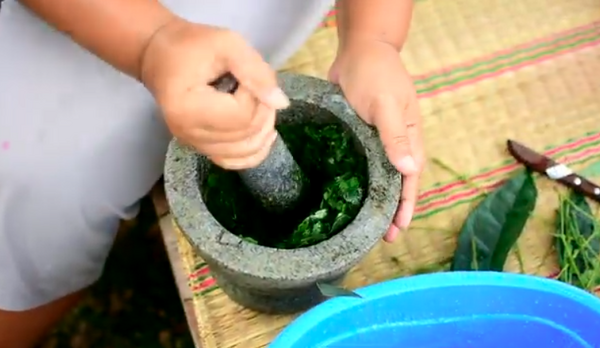 โขลกใบย่านาง