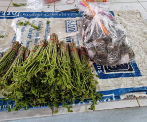 ตลาดเช้าลำปาง ตลาดสดดอนไชย ตลาดเปิดทุกวัน เวลา 03.00-21.00 น.