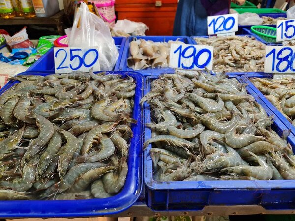 ตลาดปฐมมงคล ร้านของทะเล