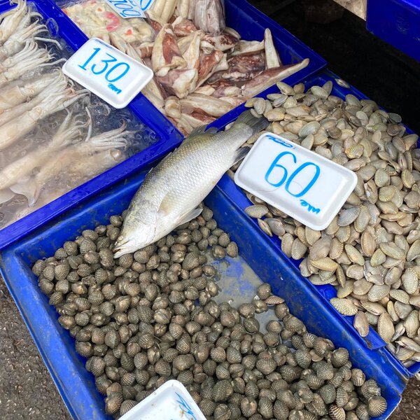 ร้านของทะเลสด