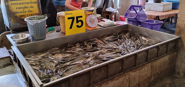ตลาดบ้านใหม่ ตลาดสด ตอนเย็น จ.เชียงราย ร้านปลาสด