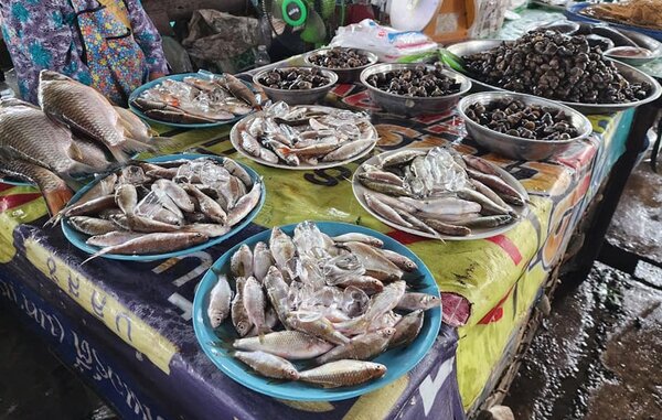 ตลาดปลาบ้านสา ร้านปลาสด