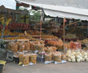 ตลาดพรรณรวี จ.ร้อยเอ็ด ตลาดค้าส่งผักและผลไม้ เปิดขายทุกวัน 24 ชั่วโมง