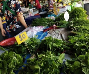 ตลาดประตูล้อ จ.เชียงราย เปิดขายทุกวัน เวลา 10.00-20.00 น.