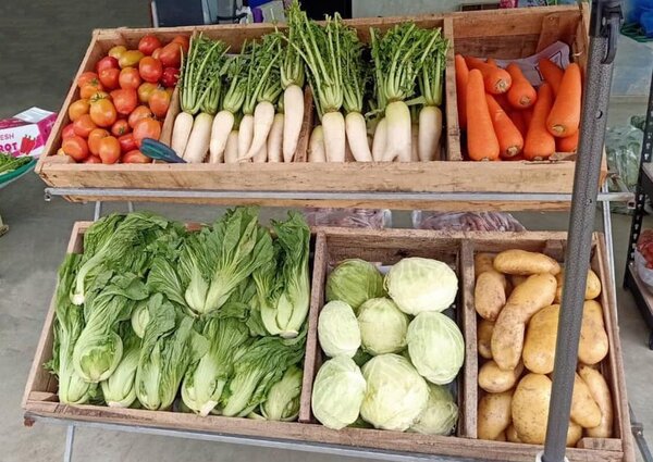 ตลาดใหม่แม่กรณ์ ตลาดขายส่งผัก ผลไม้ เชียงราย ร้านผัก