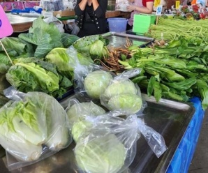 ตลาดสดลำปาง ตลาดปลาบ้านสาหรือตลาดสดบ้านสา เปิดทุกวัน เวลา 04.00-20.00 น.