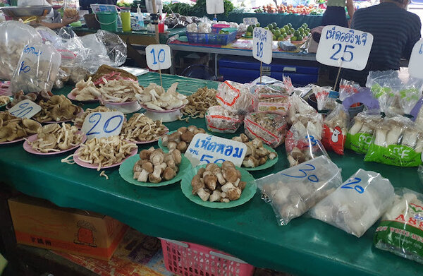 ตลาดบ้านใหม่ ตลาดเย็นเชียงราย ร้านเห็ด