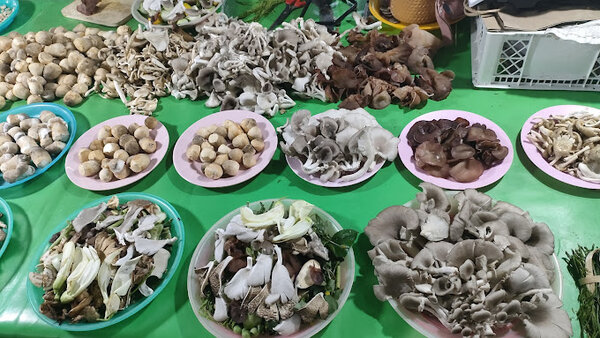 ตลาดศรีทรายมูล ตลาดสดเชียงราย ร้านเห็ด