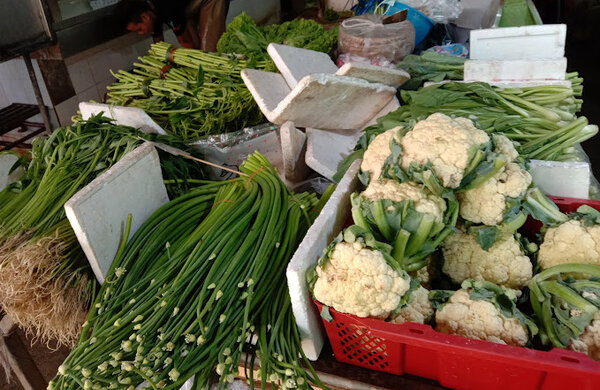 ตลาดกุนธรบางพลี ตลาดสด สมุทรปราการ ผักสด