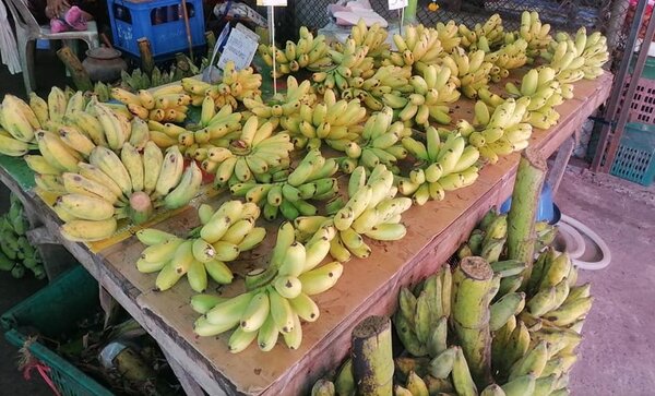 ตลาดสดต้นมะเกลือ จ.ศรีสะเกษ ร้านกล้วย