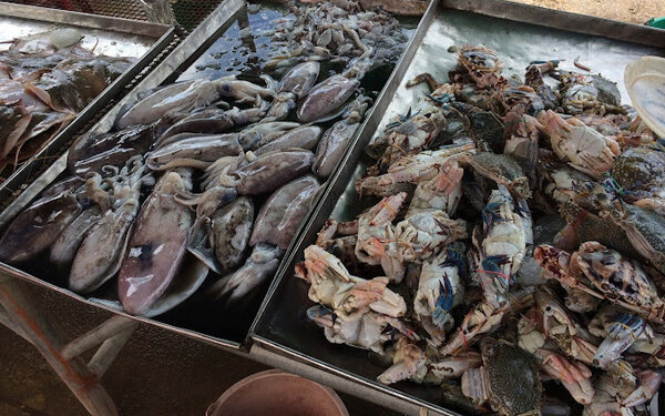 ร้านของทะเล