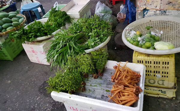 ตลาดโอเดี้ยน นครปฐม ตลาดสด นครปฐม ร้านผักพื้นบ้าน
