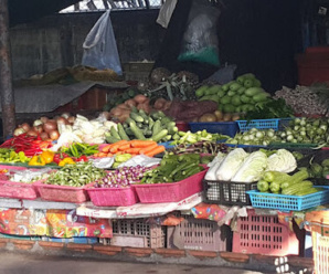 ตลาดโพหวาย จ.สุราษฎร์ธานี ตลาดเปิดทุกวัน ตลอด 24 ชั่วโมง