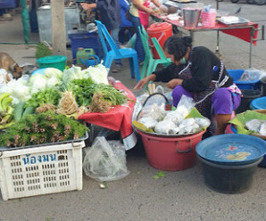 ตลาดเช้า บุรีรัมย์ ตลาดสดเทศบาลลำปลายมาศ (สง่า พูนทรัพย์) เปิดขายทุกวัน เวลา 01.30-21.00 น.