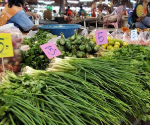 ตลาดสด มุกดาหาร ตลาดวัฒนธรรมพรเพชร เปิดขายทุกวัน เวลา 07.00-19.00 น.