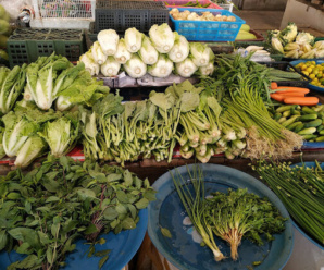ตลาดสด พัทลุง ตลาดสดเทศบาลเขาชัยสน เปิดขายทุกวัน เวลา 05.00-18.30 น.