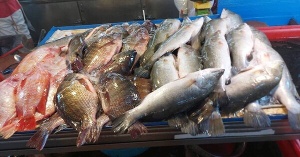 ตลาดสดพรานนก ตลาดเช้า กรุงเทพ ร้านปลาสด