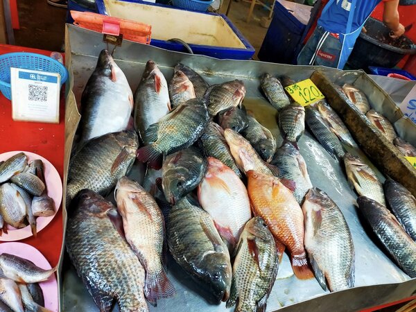 ตลาด เอ็ม มาร์เก็ต ตลาดสด พัทยา ร้านปลาสด