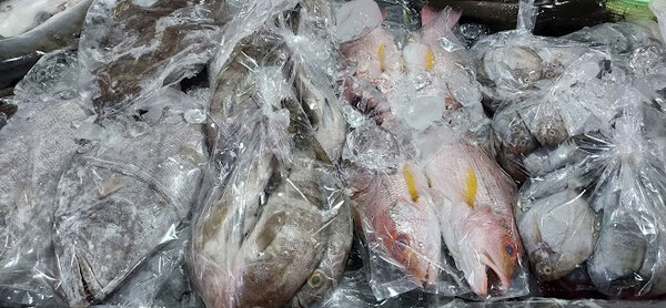 ตลาดสุขอนันต์คลองด่าน ตลาดเช้า สมุทรปราการ ร้านปลาสด