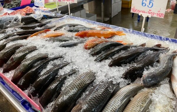 ตลาดล้านเมือง ตลาดกลางผักและผลไม้ เชียงราย ร้านปลาสด