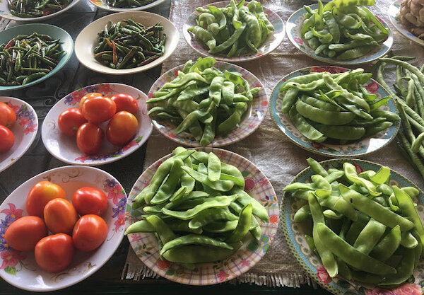 ตลาดสดบ้านก๋ง ตลาดสด น่าน ร้านผัก