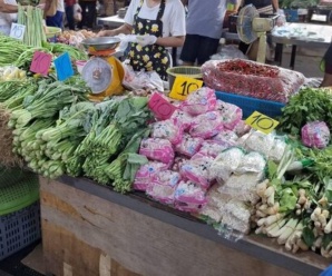 ตลาดเช้า นนทบุรี ตลาดชลประทาน ตลาดอยู่ติดกับโครงการชลประทาน สำนักชลประทานที่ 11