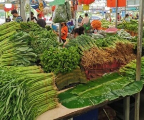 ตลาดชุมพลพาณิชย์ จ.นนทบุรี เปิดขายทุกวัน เวลา 06.00 – 20.00 น.