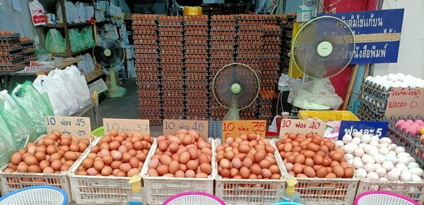 ตลาดสดพรานนก ตลาดเช้า กรุงเทพ ร้านไข่สด